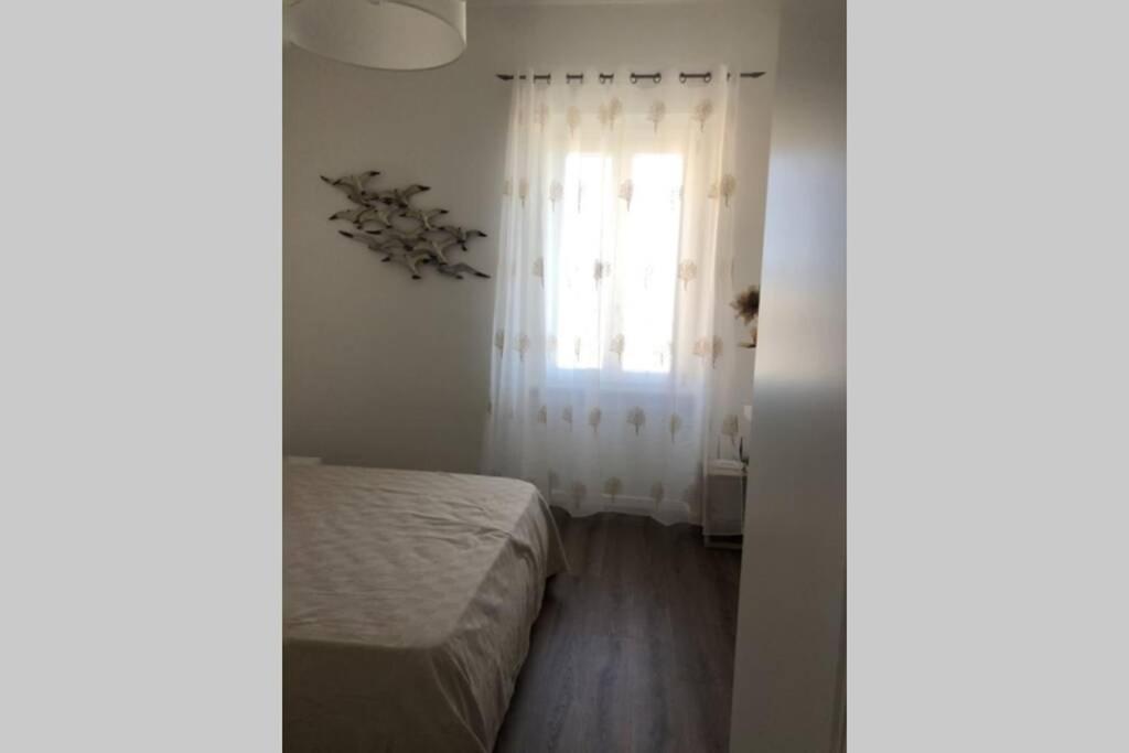 Appartamento Incantevole La Maddalena Vista Mare Codice Iun Q5459 المظهر الخارجي الصورة